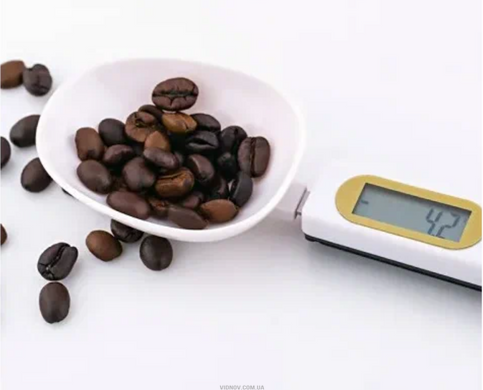 Электронная мерная ложка весы DIGITAL SPOON SCALE 500 x 0.1 г с LCD экраном UA-el2045//0.5 фото